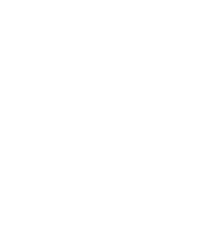 White Circus